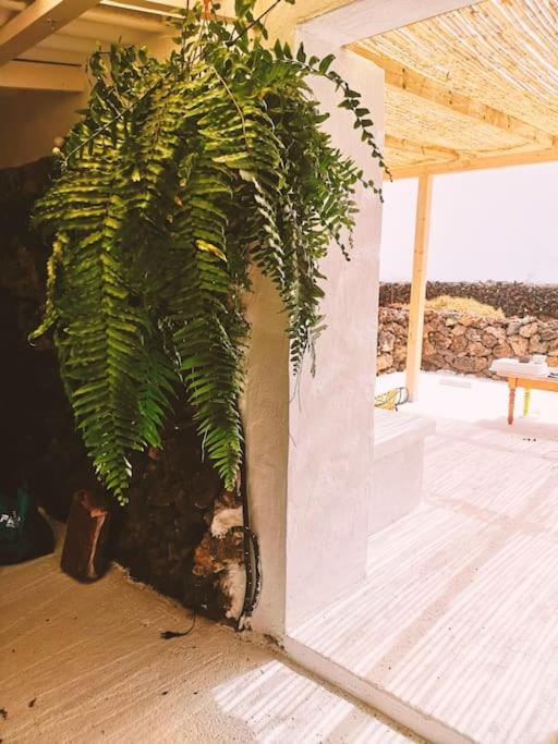 Estudio Con Bano Privado Orzola Exterior foto